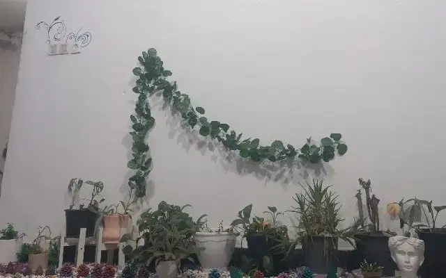 همخونه هم خونه