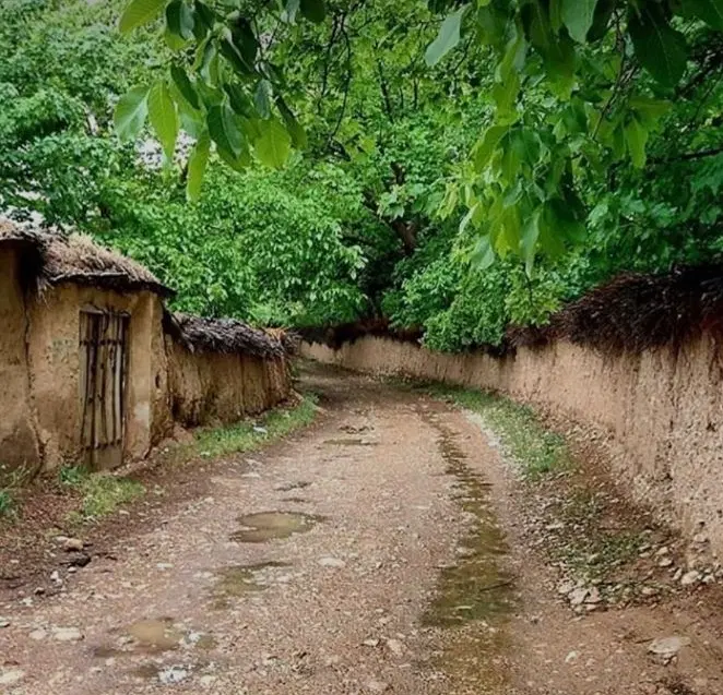 باغ بلوار چمران