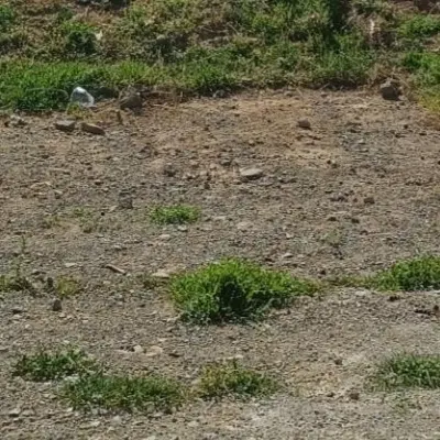 ۲۰۰متر زمین در منطقه کن