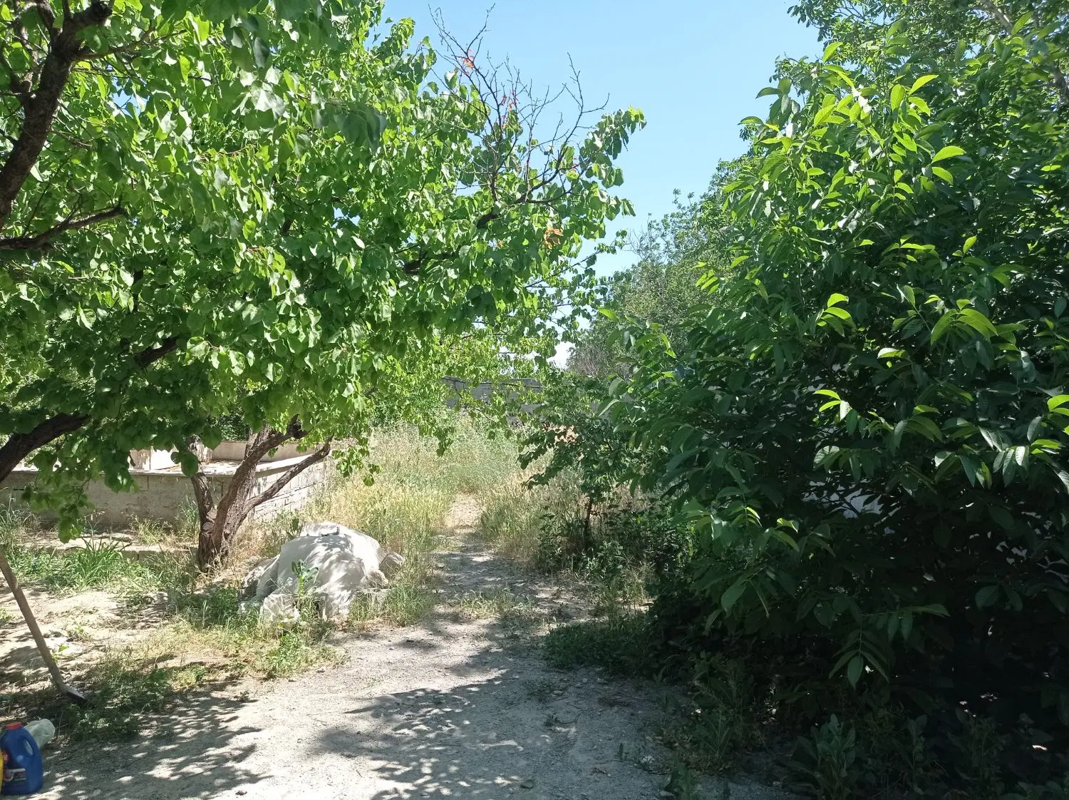 باغچه فروشی