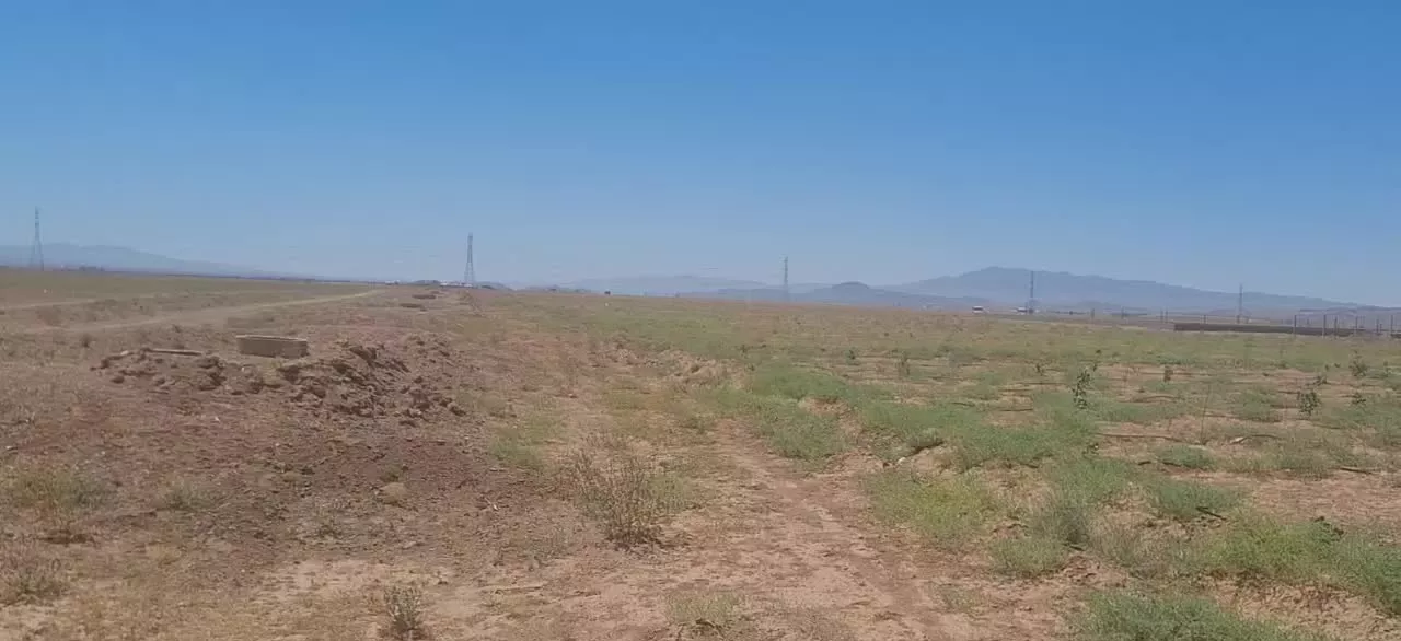 قواره ۱۰۰۰ متری مناسب سرمایه‌گذاری