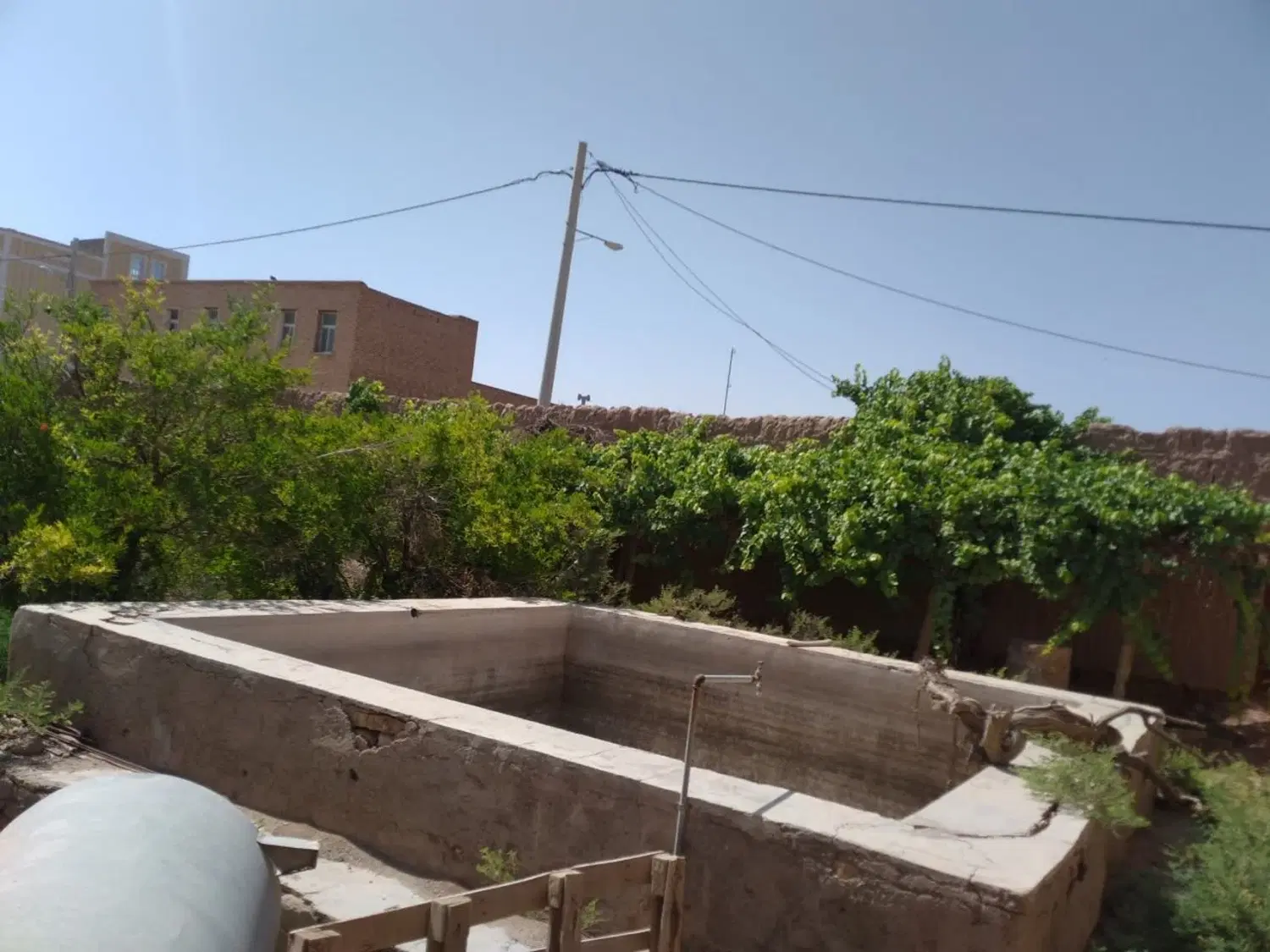 باغ