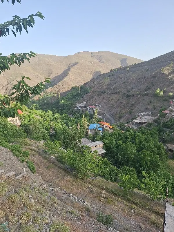 زمین زشک 7 متراز 250 متر