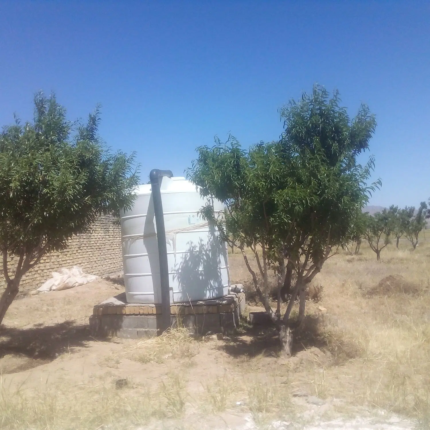 زمین ۶۰۰ متری شهرستانک