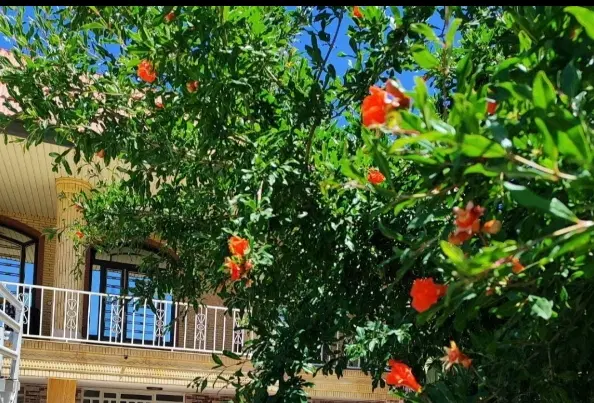رهن و اجاره قلات