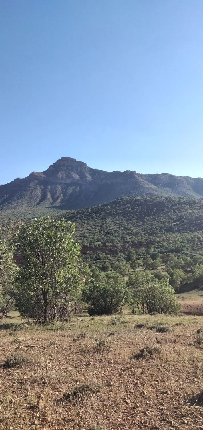 زمین کشاورزی سرفیروز آباد(سنم)