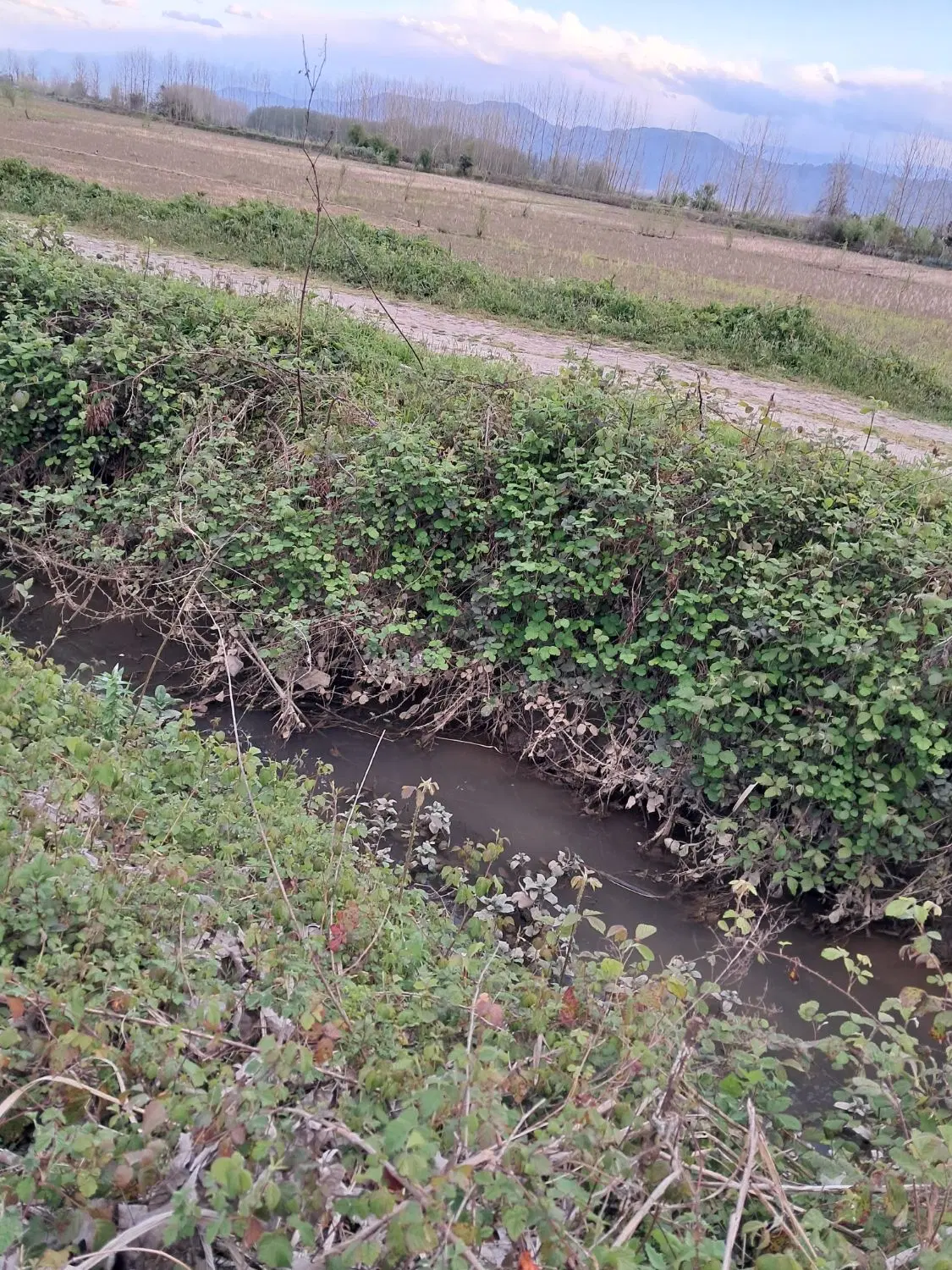 زمین وخانه ویلایی