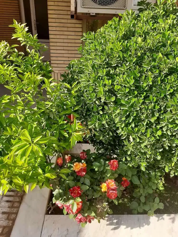 2طبقه ویلایی محدوده جابر
