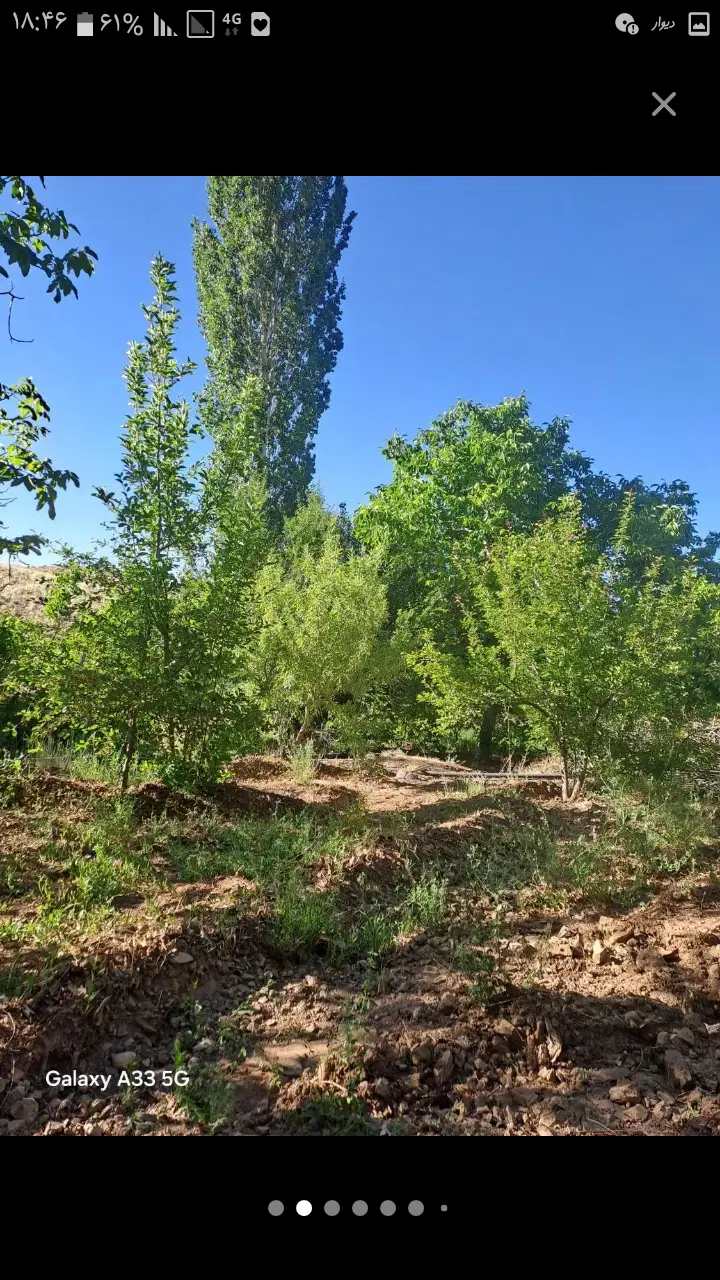 فروش خانه وباغ وملک
