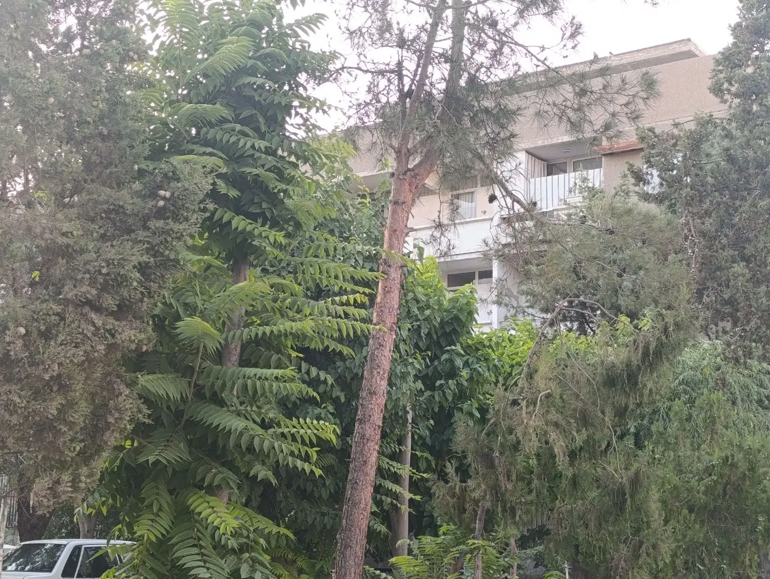 فروش آپارتمان حمیدی شاد ب 5
