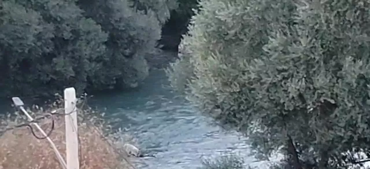 ویلا ویلایی باغبهادران معاوضه با خودرو