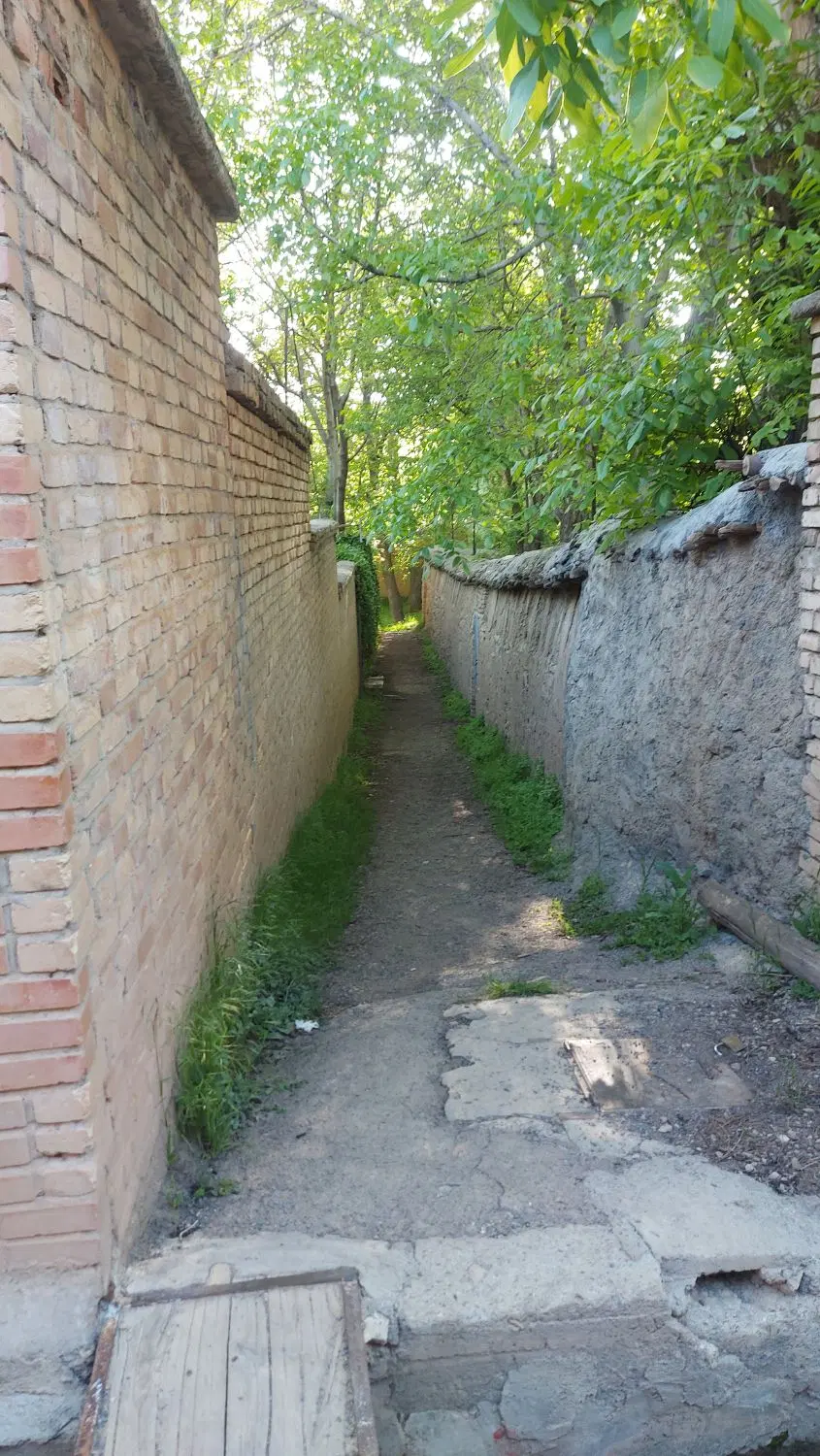 زمین کشاورزی با ۹۰ متر بر جاده قلعه شور