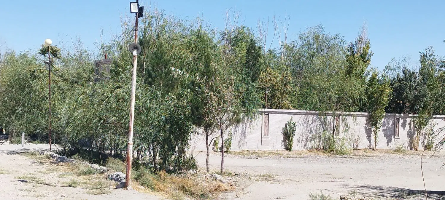 زمین باغی 5000متر چناران