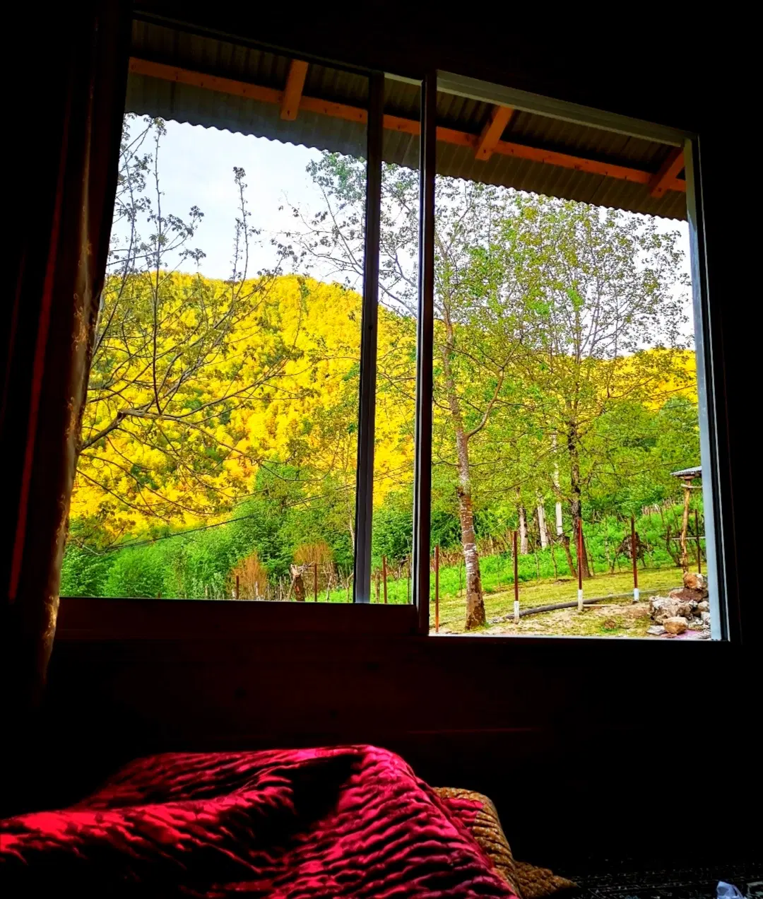 اجاره کلبه چوبی در دل جنگل