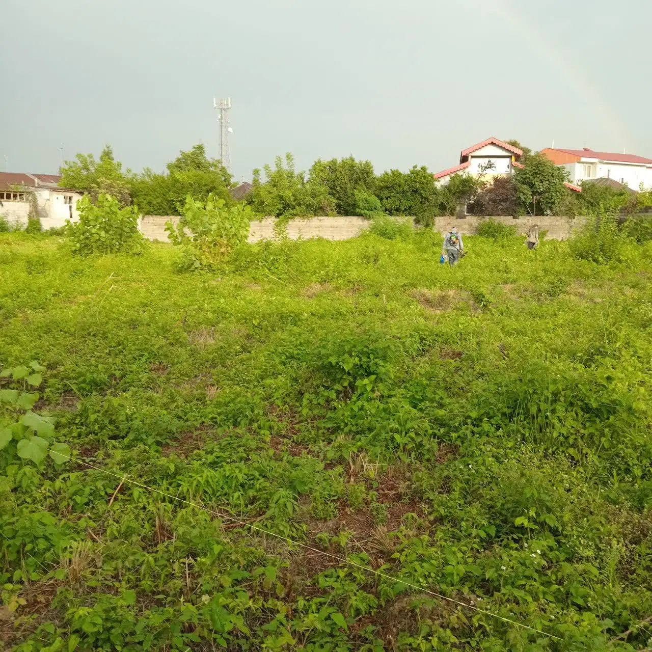 زمین سنددار مسکونی