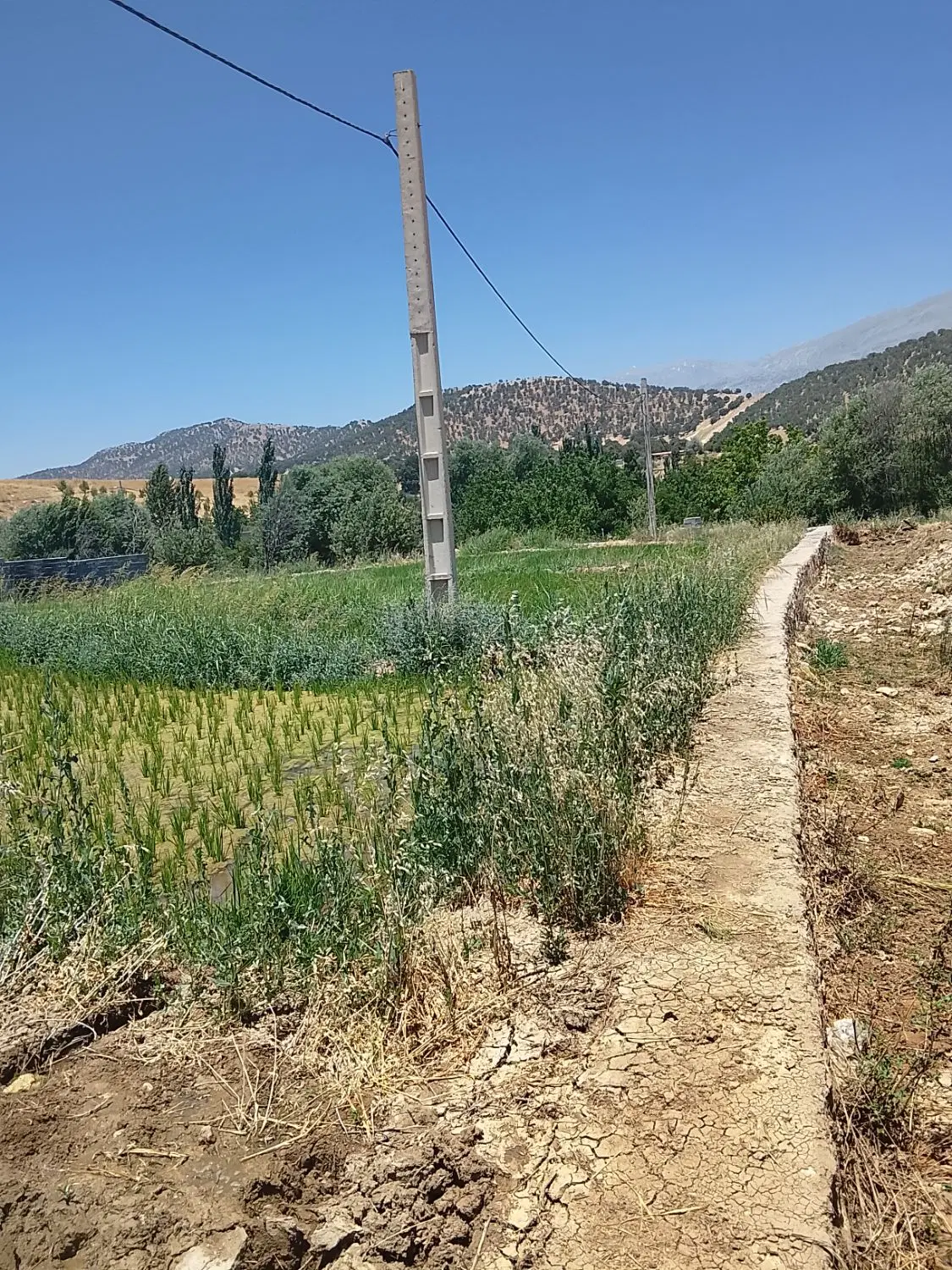 زمین مختار