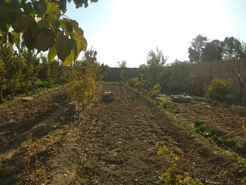 باغ دور دیوار