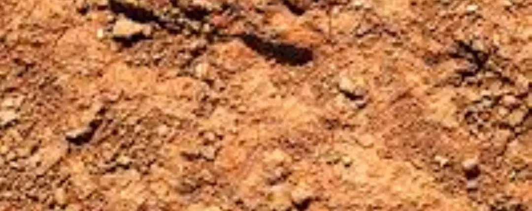 زمین نجف اباد قیمت حراجی...