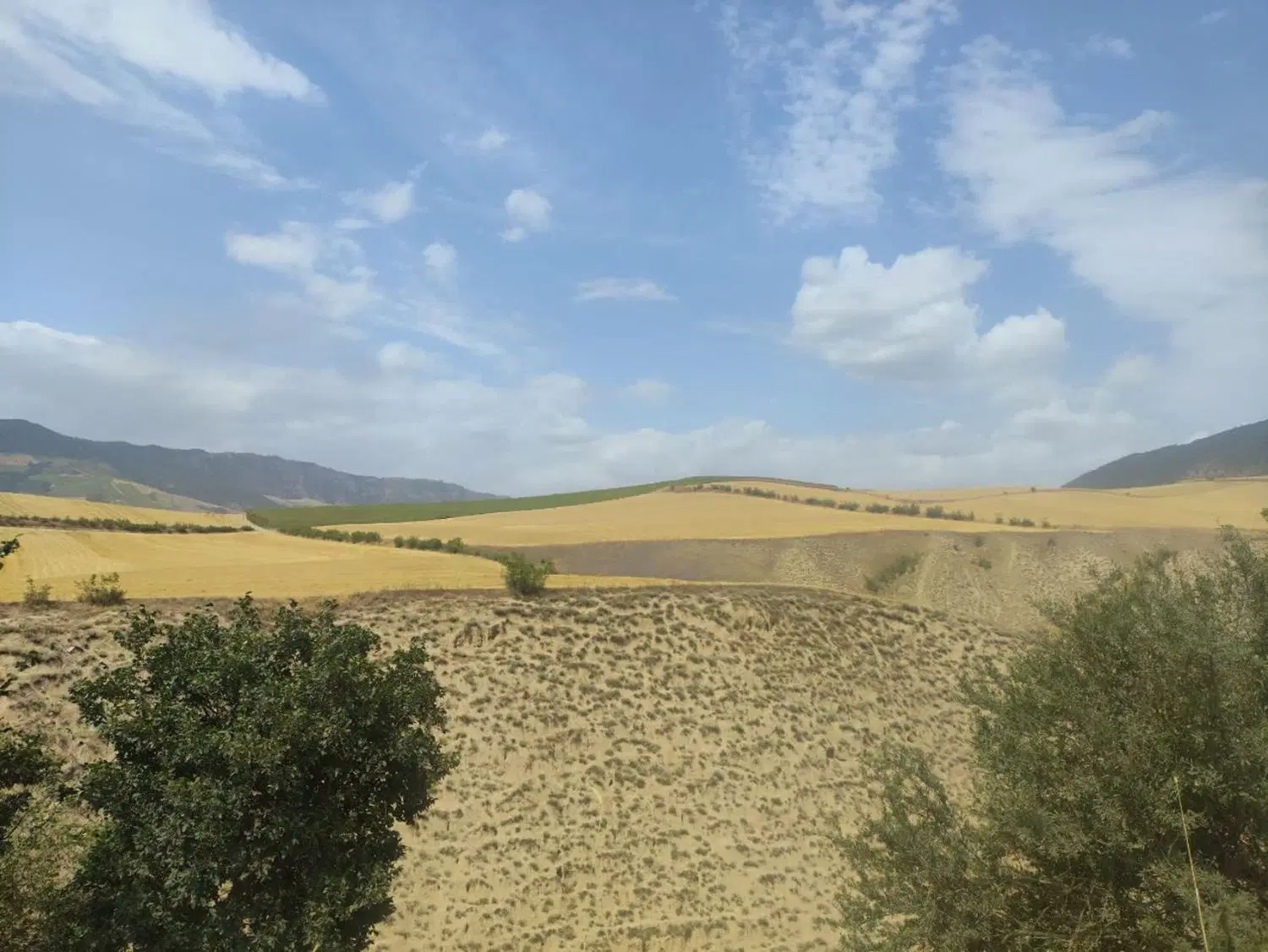اجاره زمین کشاورزی