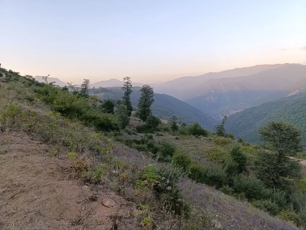 ۳۱۹متر زمین افراتخته