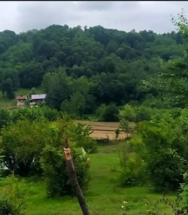 نیازمند سرمایه گذار