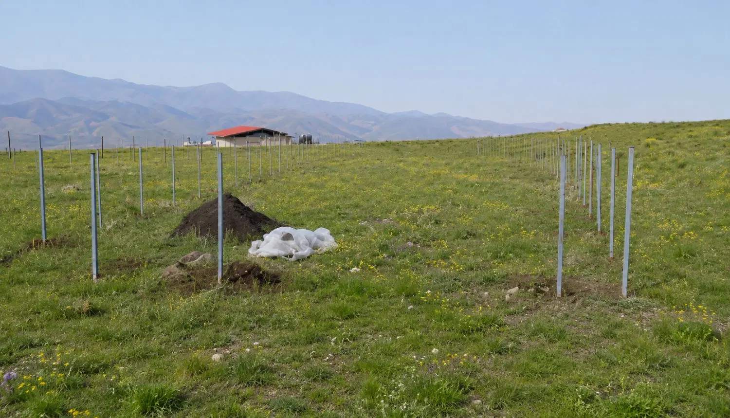 ۱۱۰۰ زمین روستای فشندک طالقان