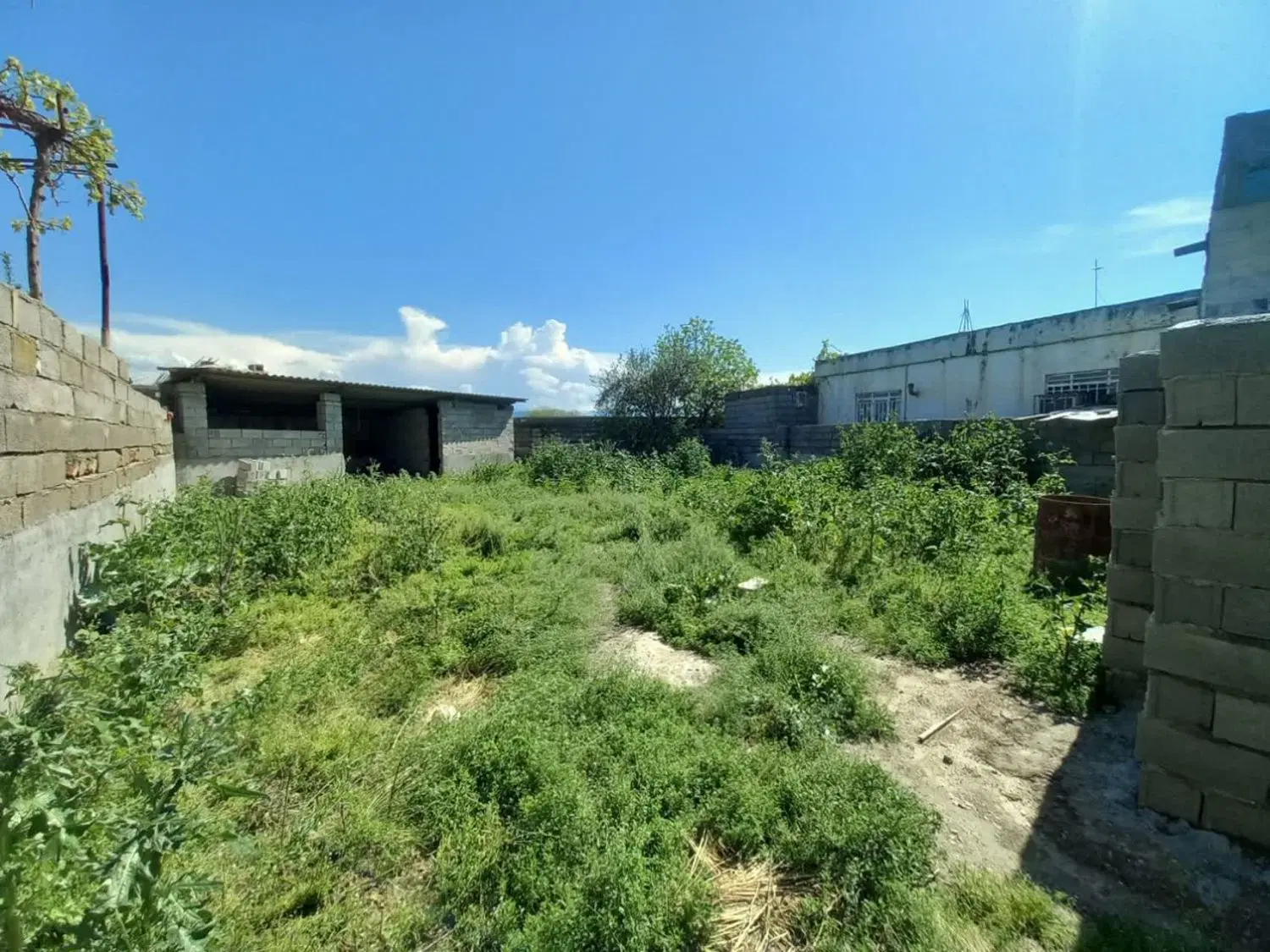 زمین مسکونی پشمک پناده