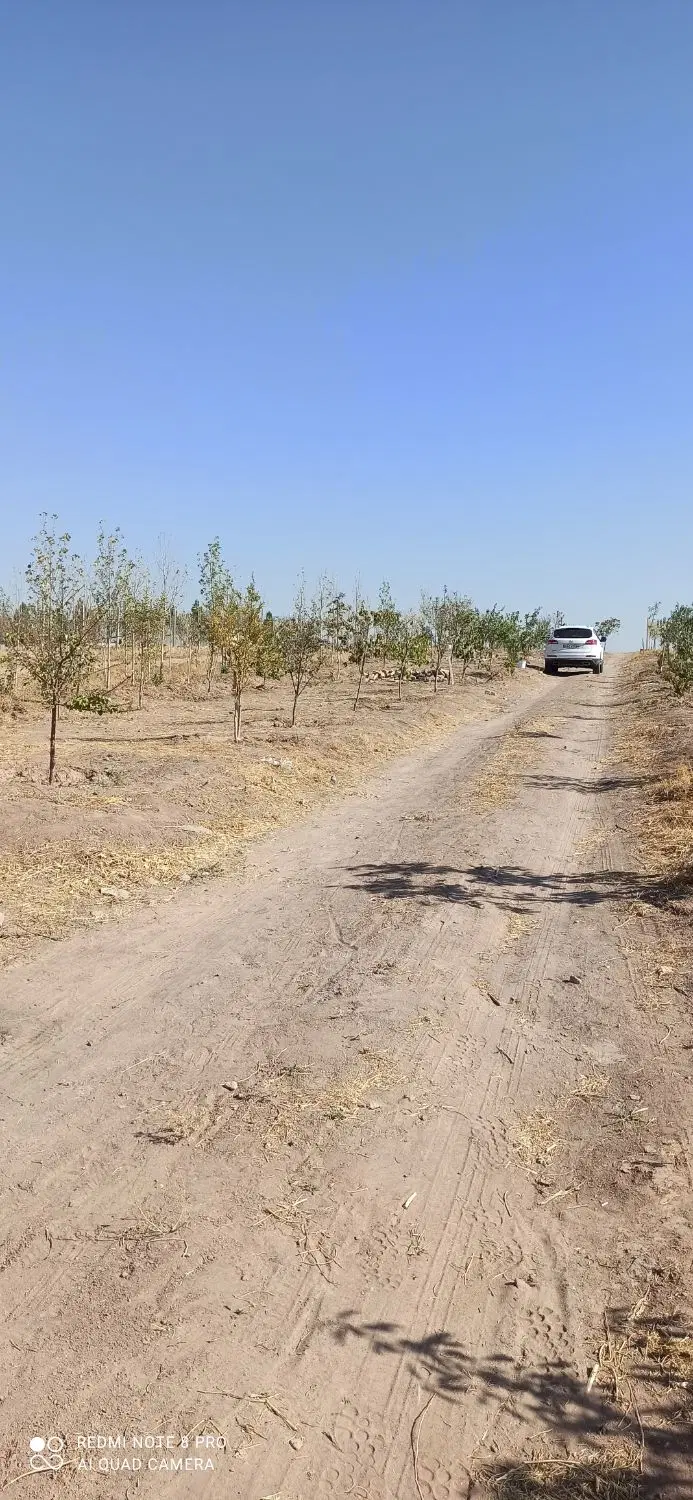 زمین کشاورزی میانچال