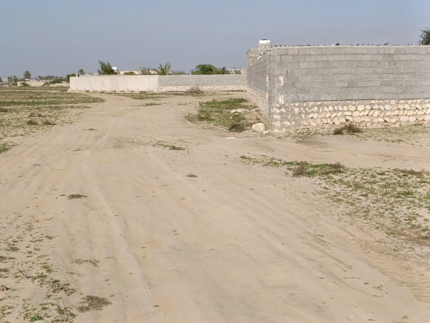۲۲۰۰ متر بنه گز(چغادک،عالیشهر،گورک)معاوضه با خودرو