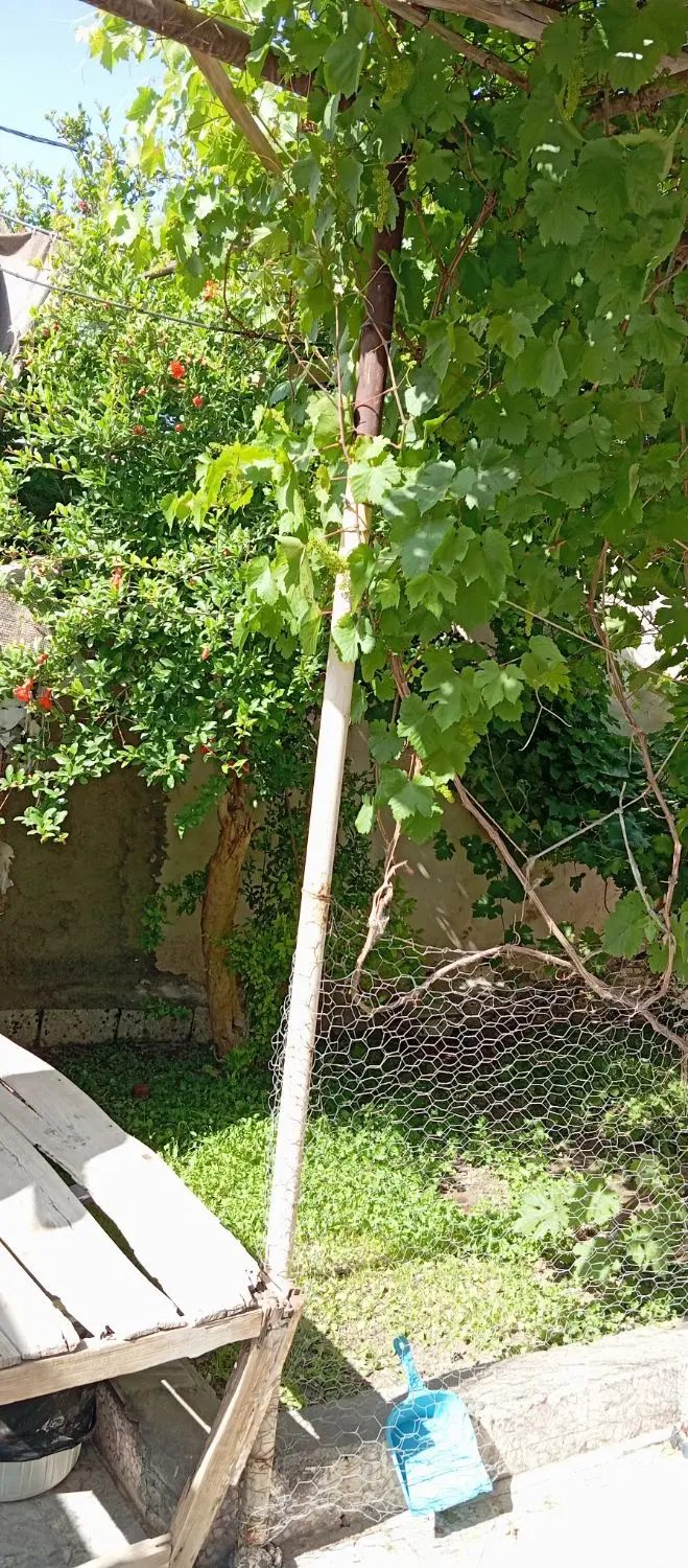 زمین فروشی سیادک سردونبش
