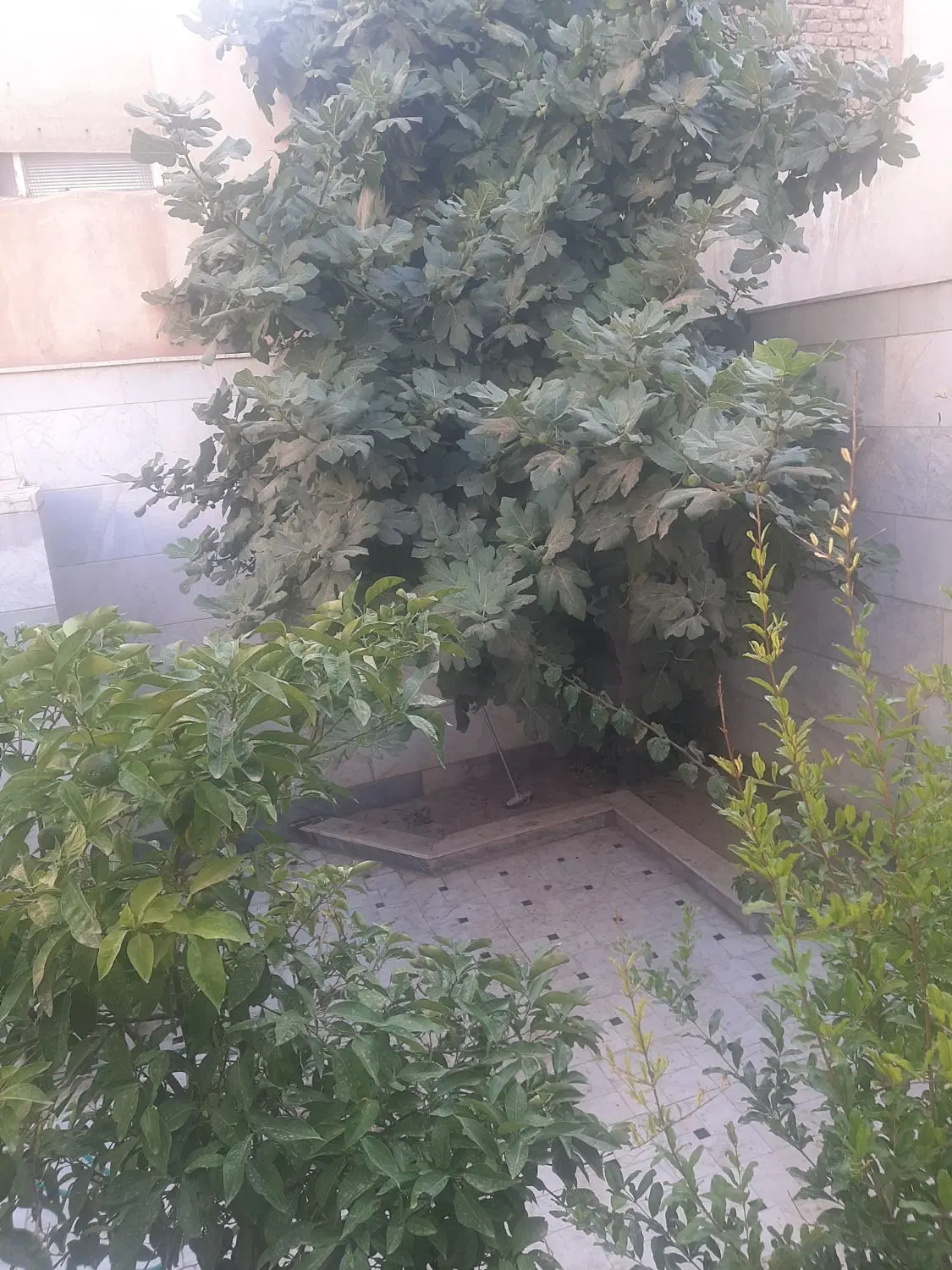 خانه اجاره ای