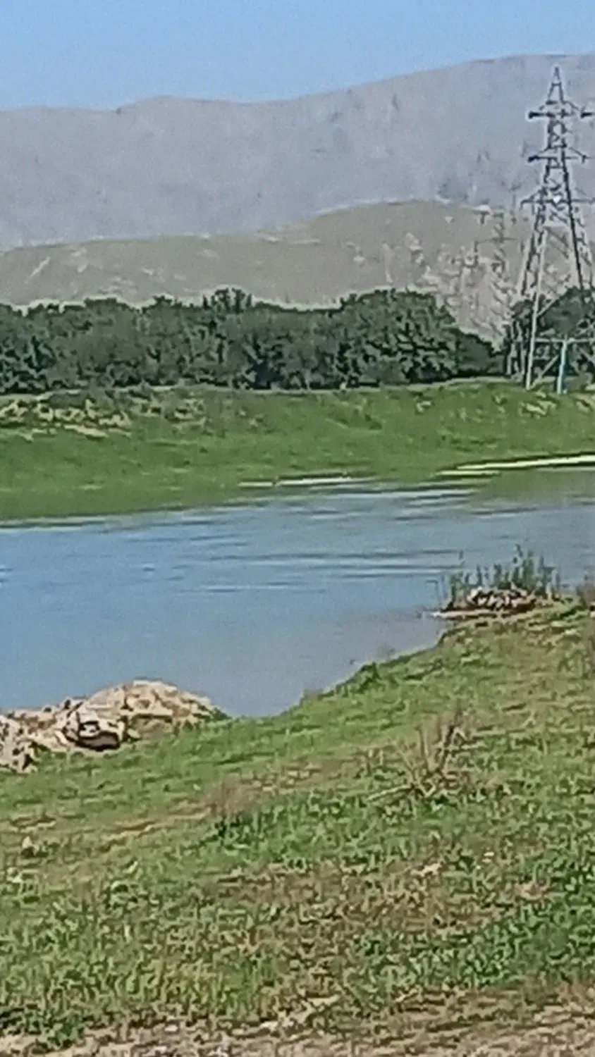 زمین کشاورزی
