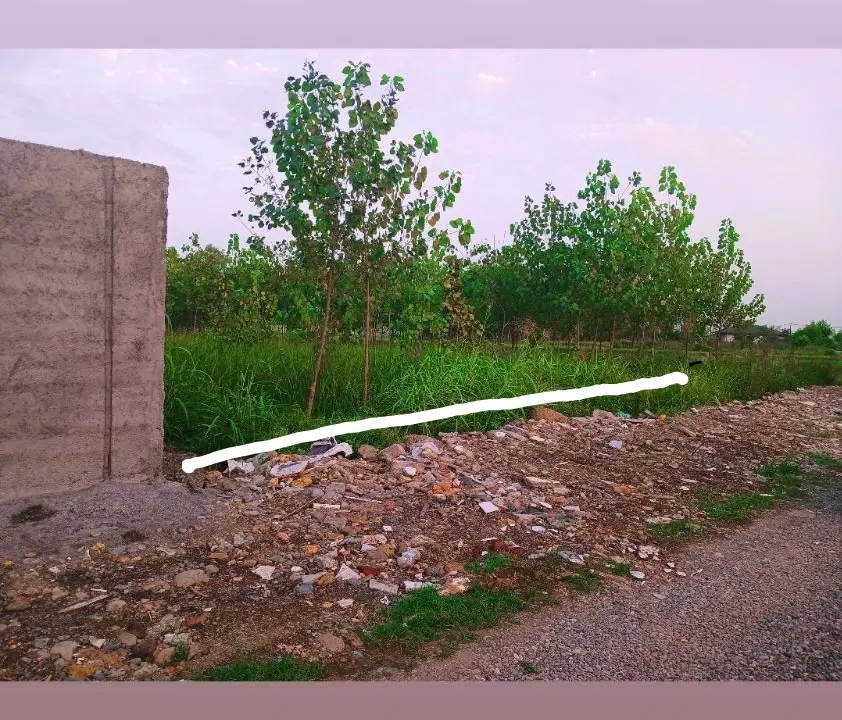 زمین باغی