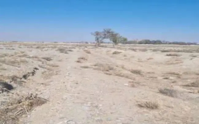 زمین ۱۰۰۰متری در گاوخانه