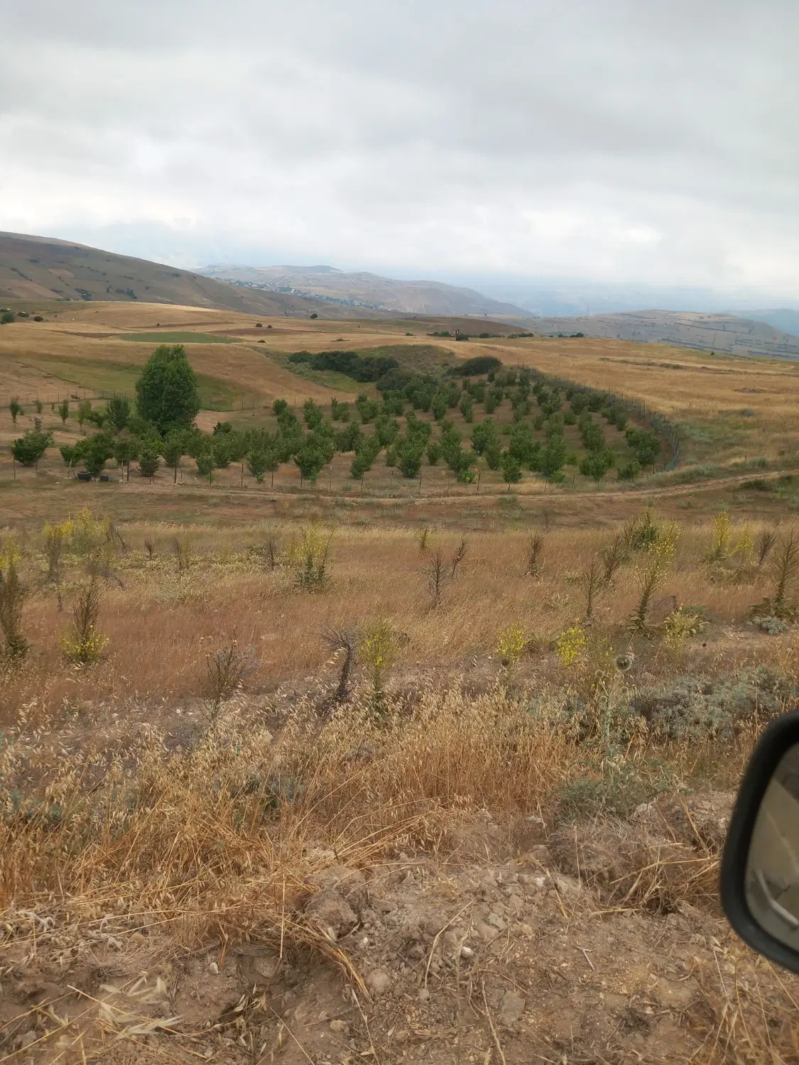 باغ فندق