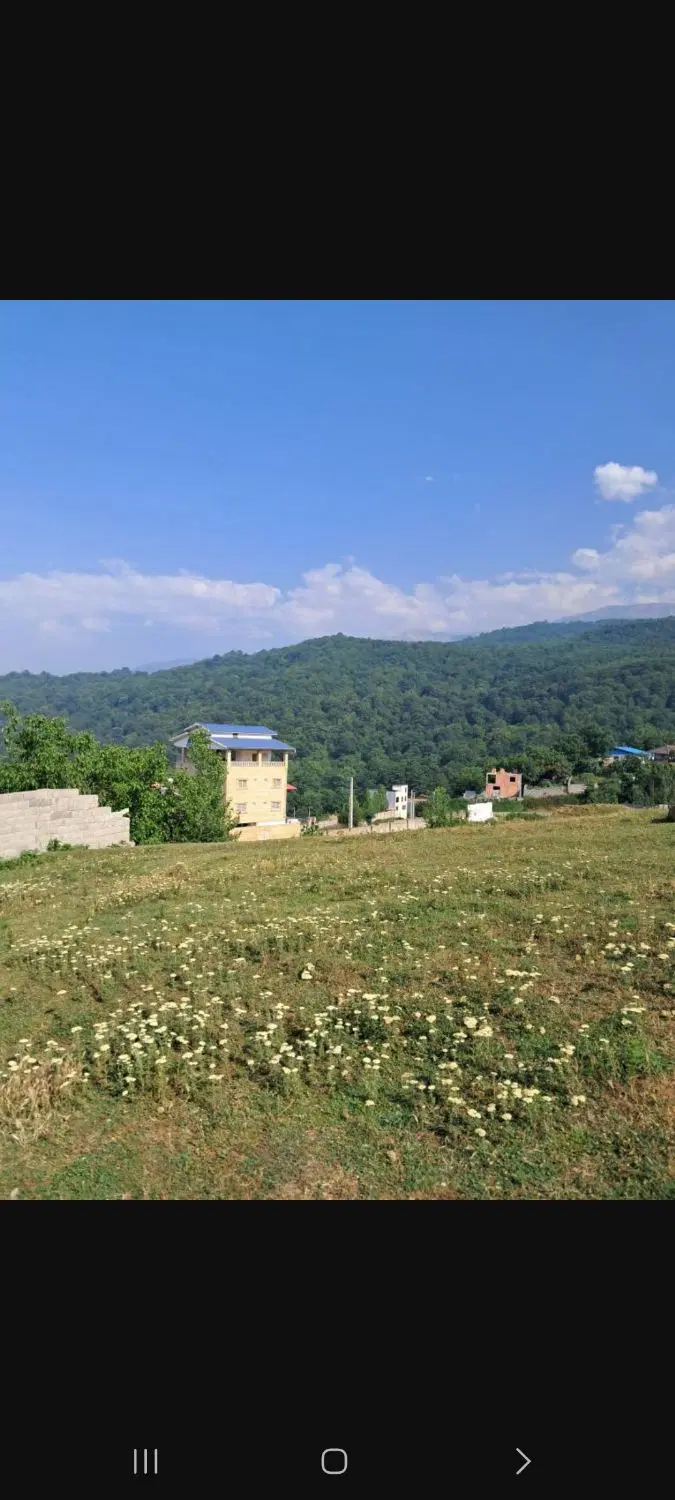 زمین