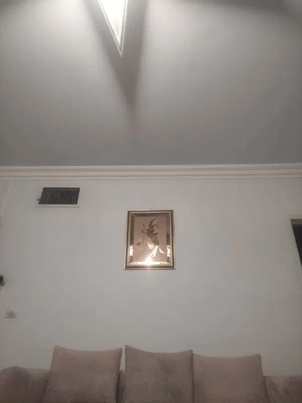 هم خانه خانم میپذیرم