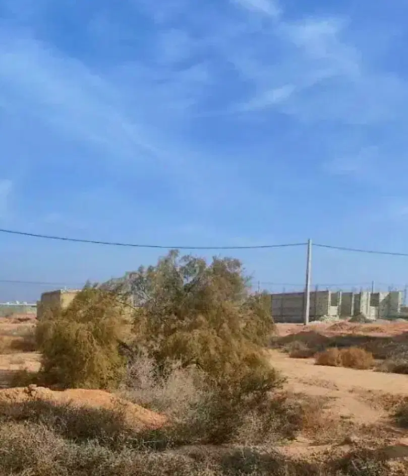 زمین تجاری - مسکونی