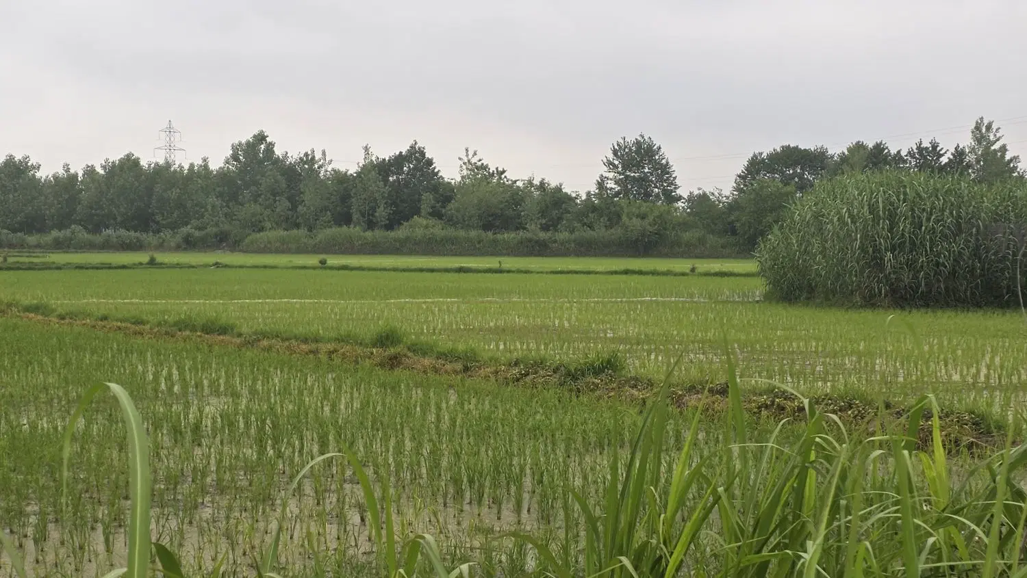 زمین با کاربری مسکونی