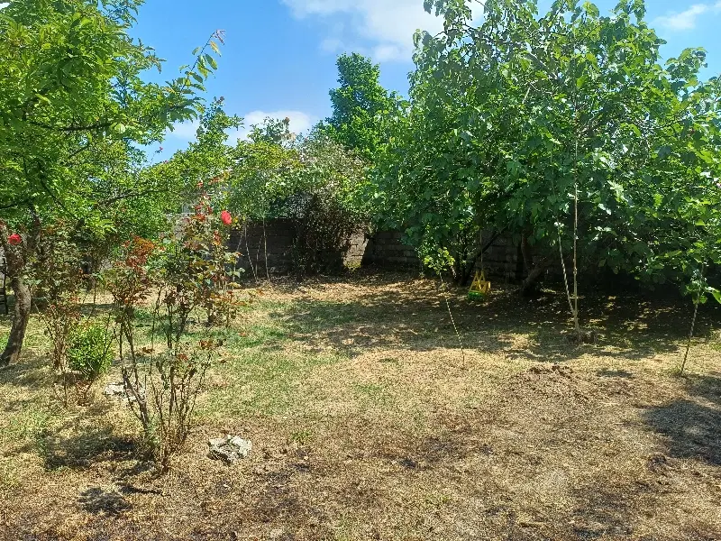 فروش زمین باغی مسکونی