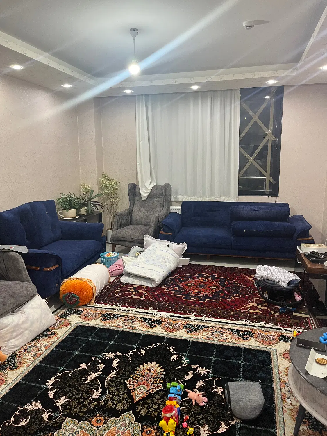 روبروی فضای سبز ،نزدیک خیابان، جنوبی
