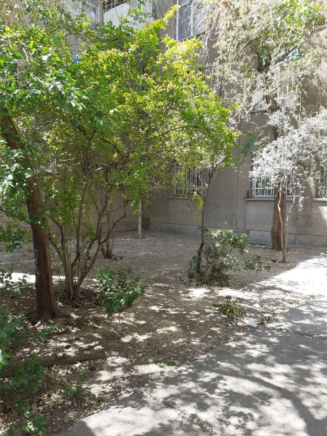 آپارتمان ۶۵ متری خوش‌نقشه در کیانشهر سند تک برگ