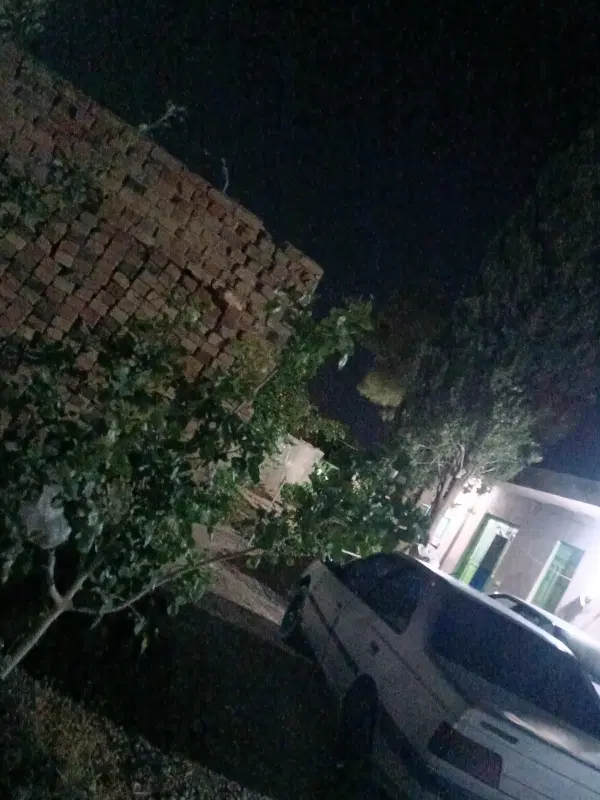 خانه باغ