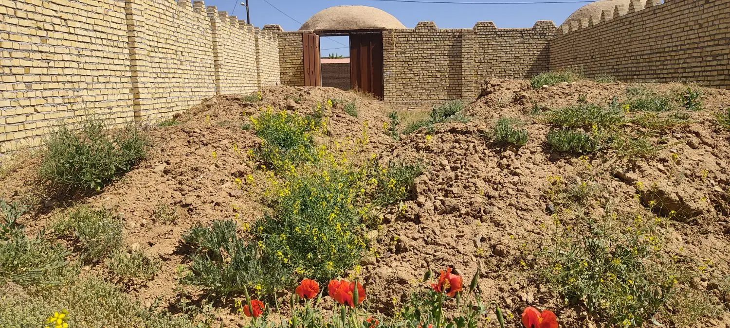 زمین  سند دار چهاردیواری شده داخل طرح روستایی