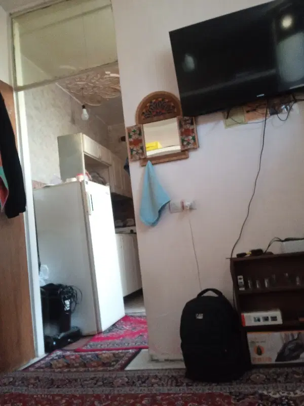 همخونه،خانم