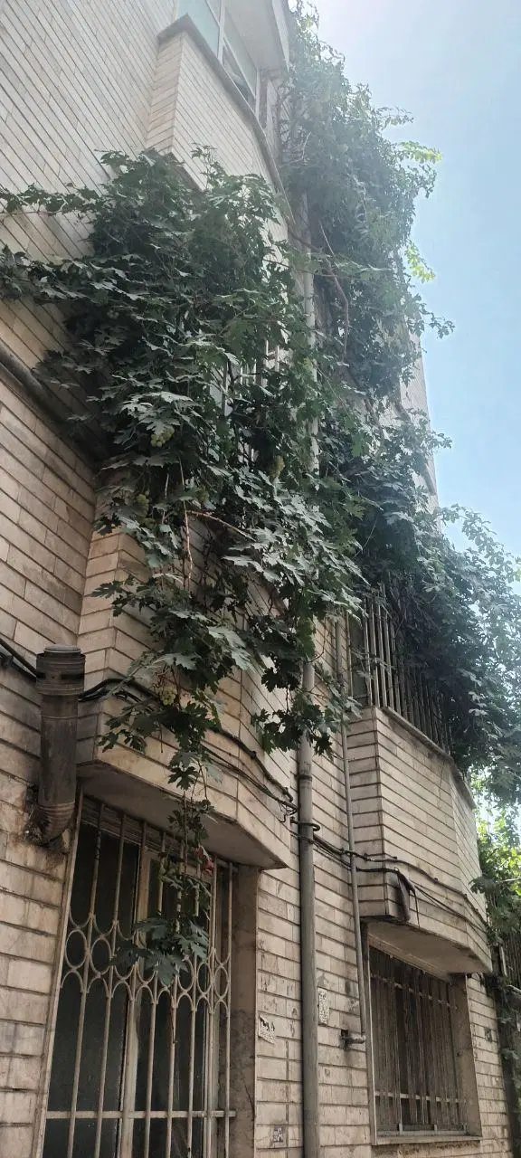 فروش مسکونی