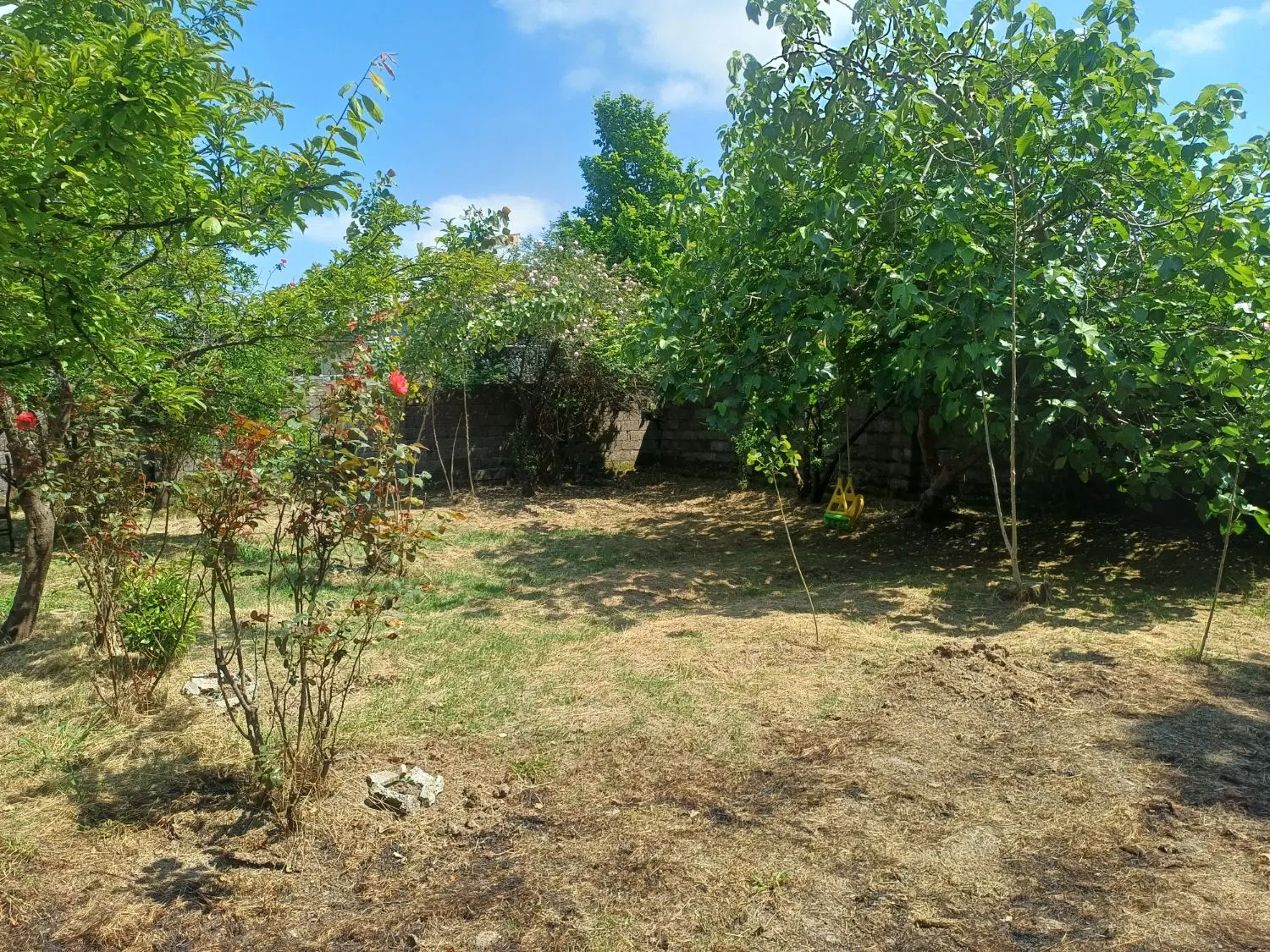 زمین باغی مناسب کلبه سویسی نزدیک رشت