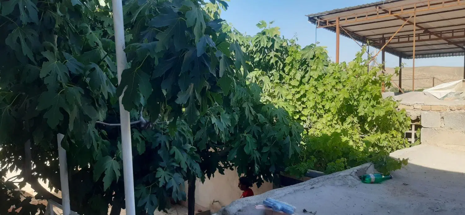 فروش خانه ویلایی