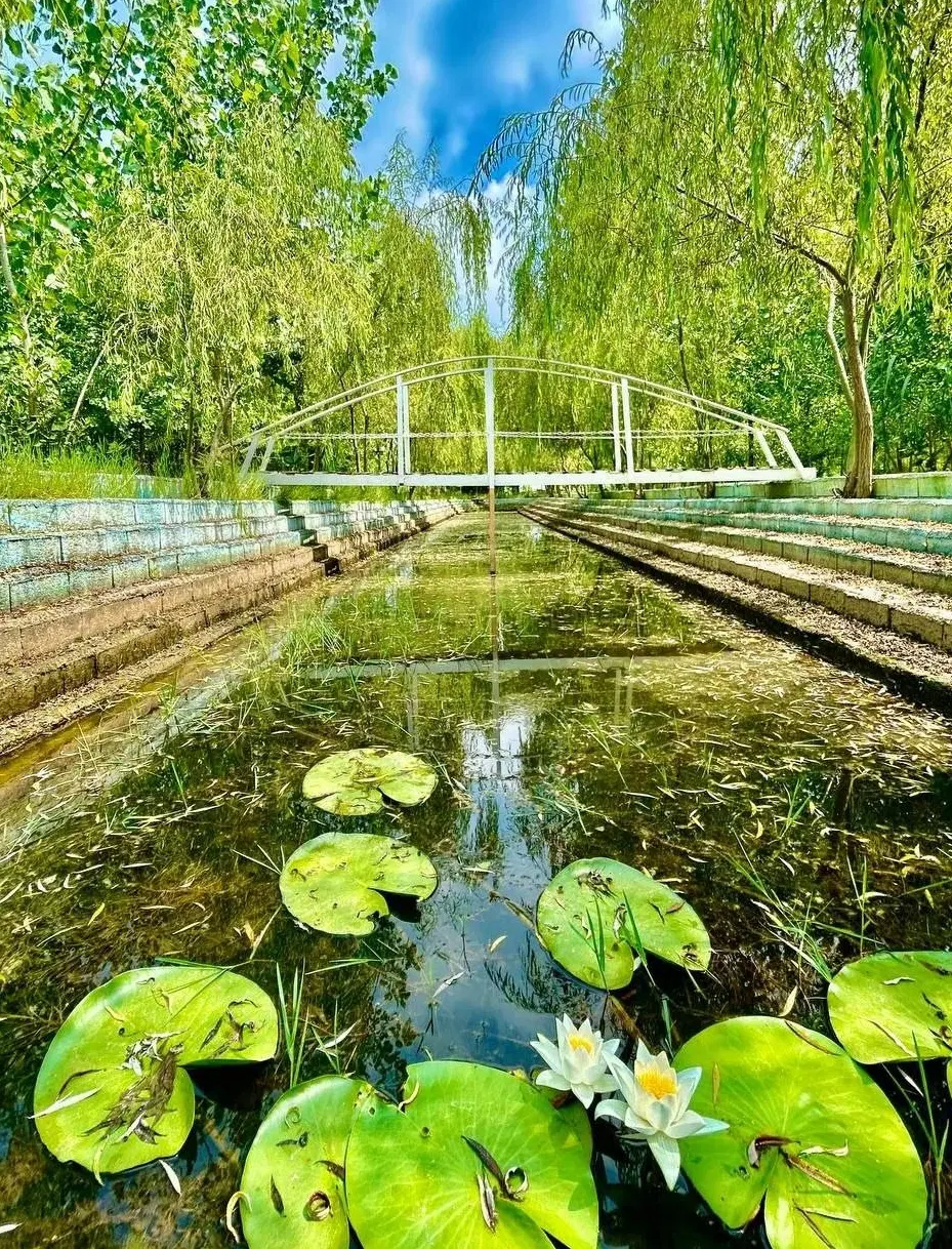 مقصدی برای آرامش و ارزش