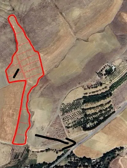 زمین کشاورزی